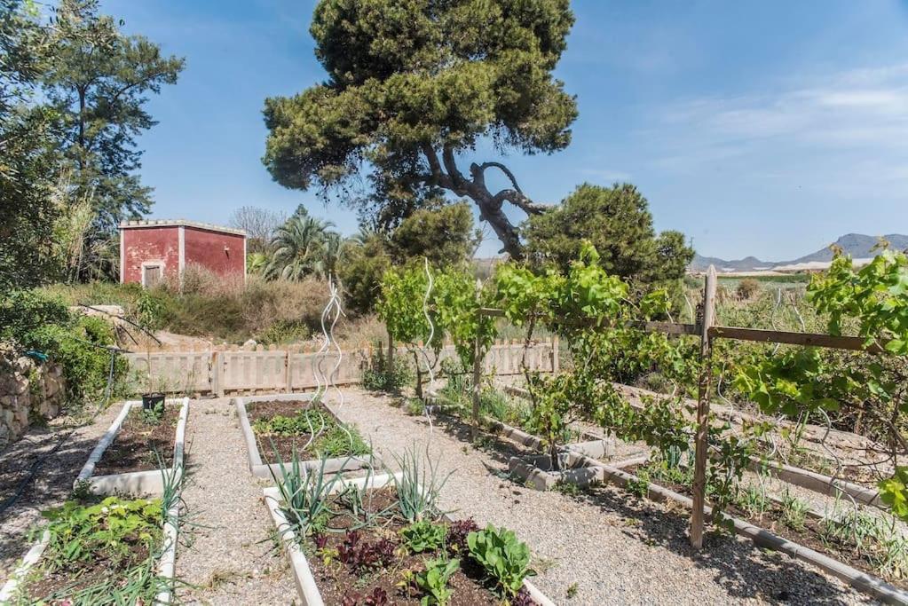 Villa Oasis De Ifre Caserío Cañada de Gallego Exterior foto
