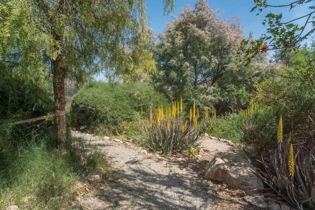 Villa Oasis De Ifre Caserío Cañada de Gallego Exterior foto