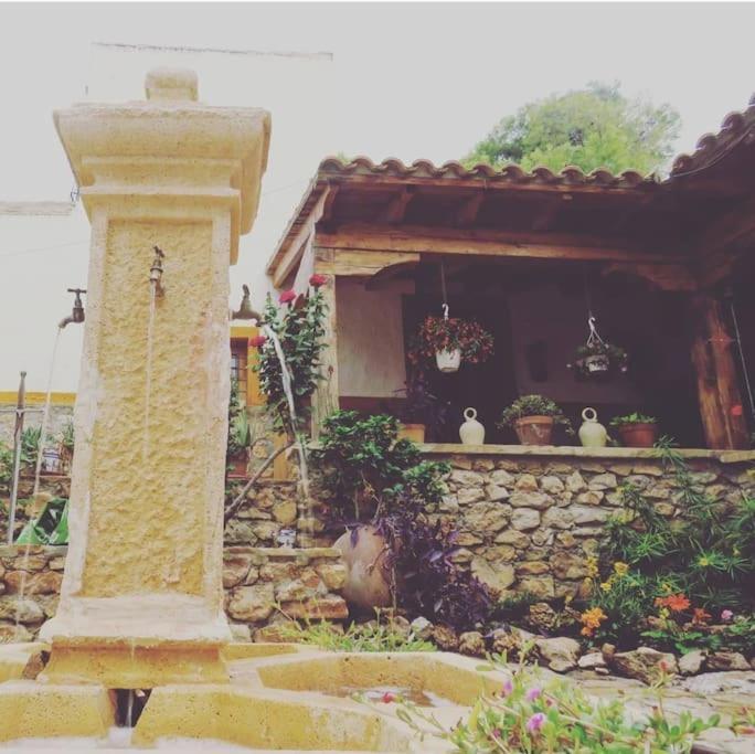 Villa Oasis De Ifre Caserío Cañada de Gallego Exterior foto